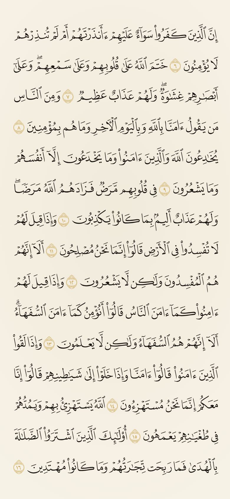 صفحة من المصحف