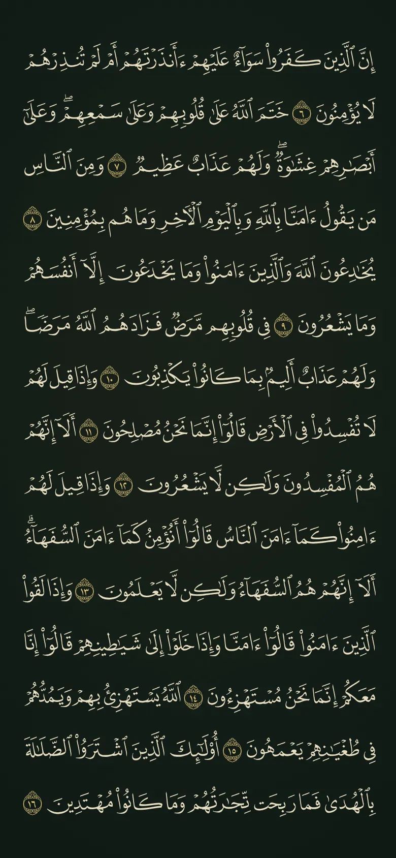 صفحة المصحف بالورق الليلي