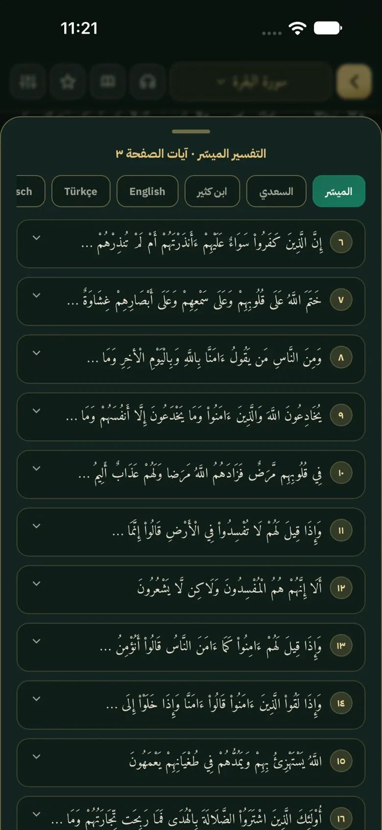 تفسير آيات الصفحة